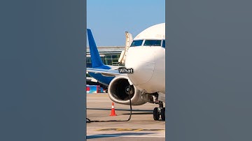 5 Main Types of Winglets Explained