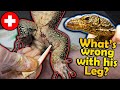 Rescuing a Monitor with a Mysterious Leg Problem