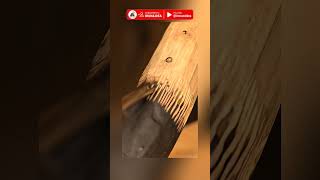 Satisfying Wood Carving Textures #asmr #construction #craftsmanship #creative #diy #miniature