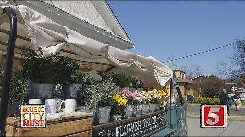 Music City Must - Amelia