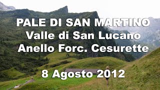 Pale di S. Martino - Valle San Lucano - Anello di Forcella Cesurette - 8 Agosto 2012 - Escursionismo