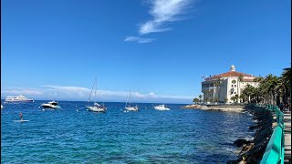 Scuba Diving Casino Point in 4K. Casino Point, Avalon, Catalina Island, CA July 31, 2021