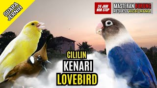 Masteran Murai Batu Full Tembakan #MasteranMurai
