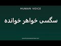 How To Pronounce سگسی خواهر خوانده How To Pronounce سگسی خواهر خوانده
