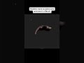 Have a look at this stunning human hand animation sculpted and animated by Senior 3D Artist and Gen