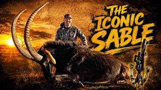 The Iconic Sable! The Black Mamba Series Continues!