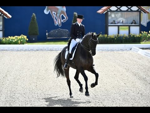 Horses & Dreams meets Denmark - Siegesritt Prix St. Georges - Allan Uglso Gron (DEN) & Zick Flower