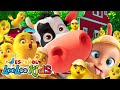 A ram sam sam  los pollitos y las mejores canciones infantiles looloo  live  vdeo para nios