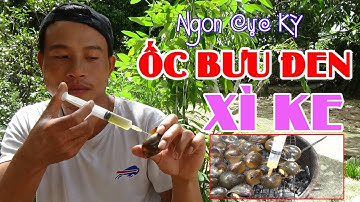 Ốc Bưu Đen Xì Ke - Cách Làm Món Ốc Bưu Đen Nướng Tiêu Xanh Và Nước Cốt Dừa Ngon Tuyệt - 92 Vlog