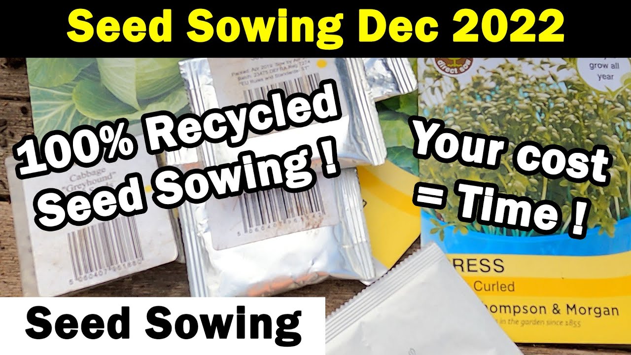 Seeds to Sow in December Seed Sowing in December 2022 Vegetable