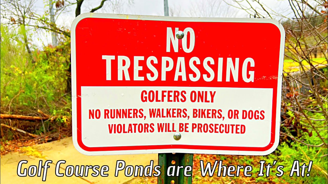 I Fished My Local Golf Course Pond (MASSIVE SURPRISE)