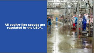 The Facts about Poultry Processing Line Speeds