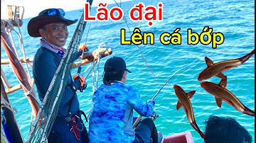 câu cá biển tập 16/ câu jigging và popping lão Đại lên cá bớp