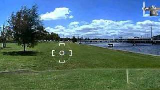 Play Chicken Hunt - Free Online Chicken Game screenshot 3