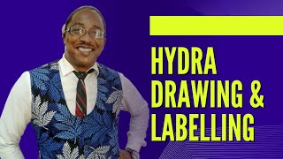 Hydra - Drawing & Labelling Skill