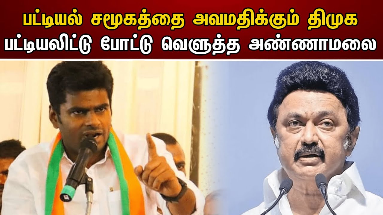 பட்டியல் சமூகத்தை அவமதிக்கும் திமுக பட்டியலிட்டு போட்டு வெளுத்த அண்ணாமலை | Annamalai | Dmk
