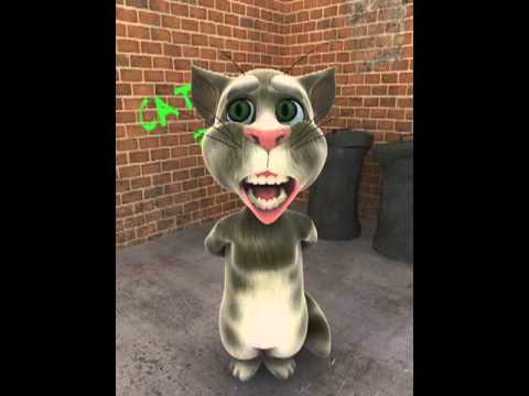 Teri Meri Talking Tom