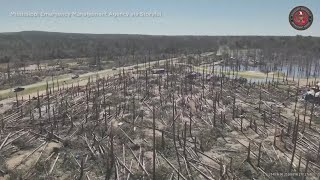 Humane Society of Louisiana helping Tylertown, MS tornado victims and pets