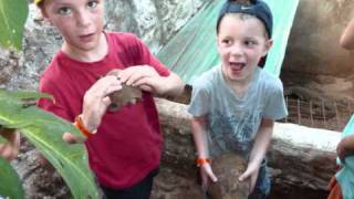 Notre voyage au kenya octobre 2010 ...