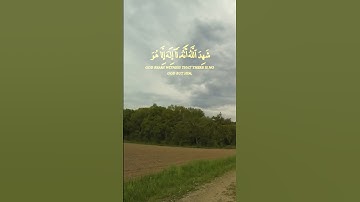 سورة آل عمران الآية 16 و 17 و 18 بصوت القارئ محمد الفقيه