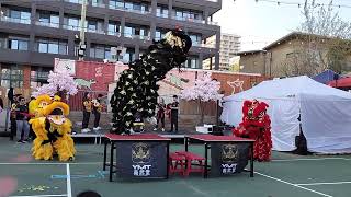 YMT Lion Dance Set 2 Part 4 at STACKT Asian Night Market | Toronto May 2026