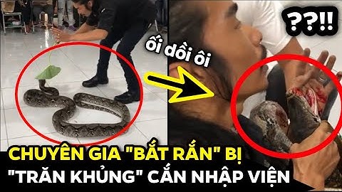 Chuyên Gia" BẮT RẮN" Bị "TRĂN KHỦNG" Cắn Nhập Viện | Tin Tức 3 Phút