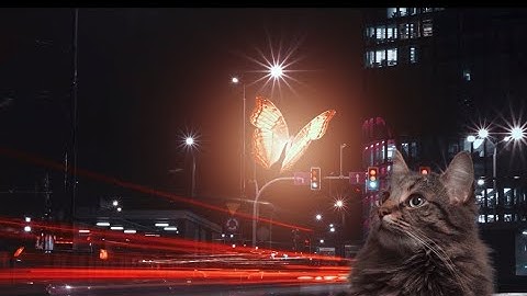 Cat Butterfly Manipulation Photoshop Tutorial