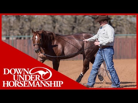 Classic Equine Legacy Boots Sizing Chart