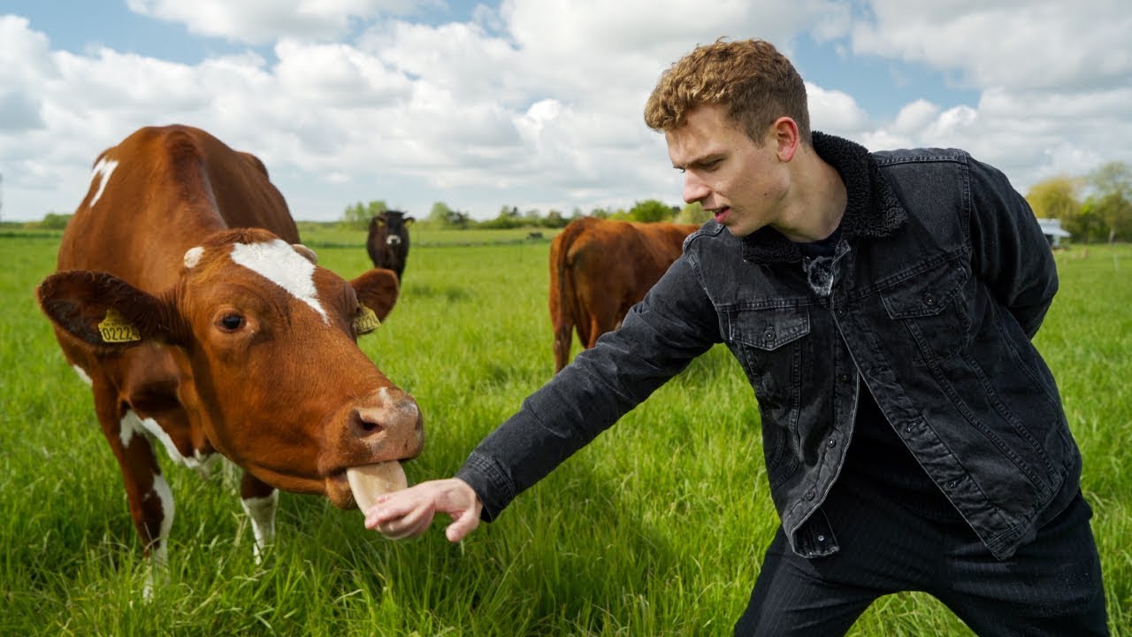 Hvad kan jeg blive? Landmand