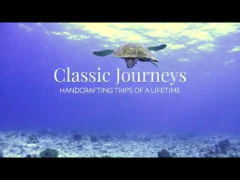Responsible Travel | Sea turtle rescue, Galapagos Islands - Classic Journeys
