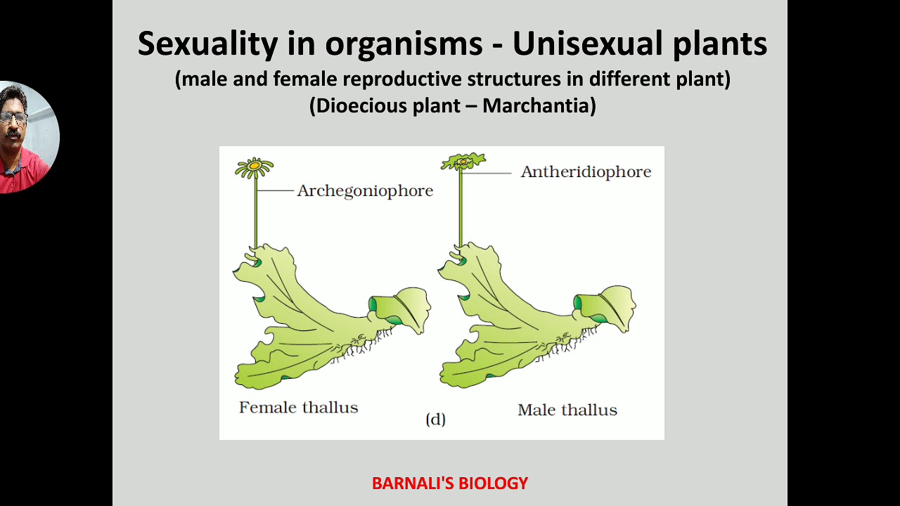 NCERT BIOLOGY CLASS 12 CHAPTER 1 LECTURE 4 - YouTube