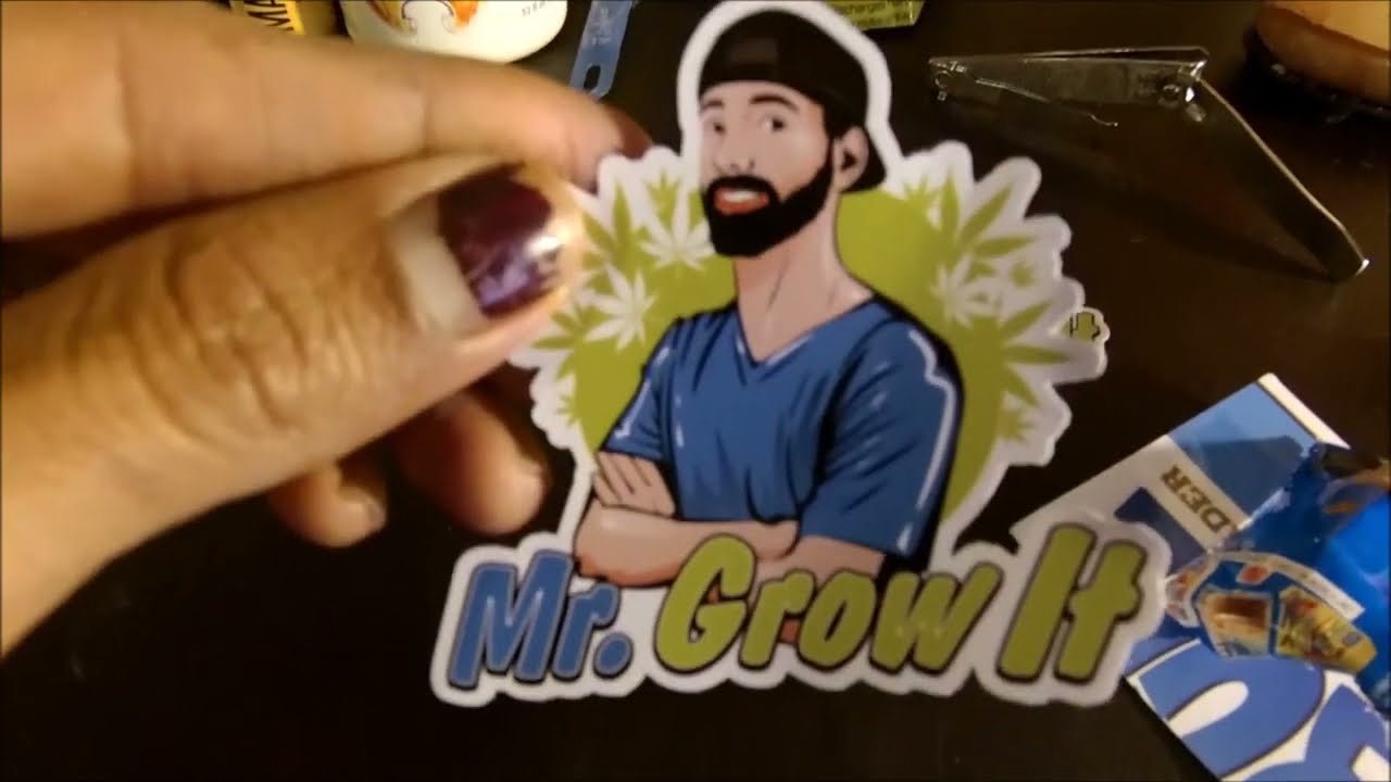 Seed Tester Chill Out OG Pakistan Valley xBrisker OG IndicaDominant Hybrid Breeder Mr. Grow It DAY 1