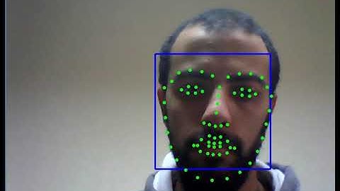 Face detection and feature extraction