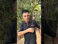 Ngọt quá #anhthovuitinh #xuhuongyoutube #cuocsongthuongngay