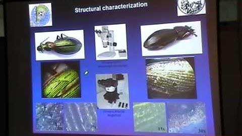 Structural color, Lecture IV - D. Skigin
