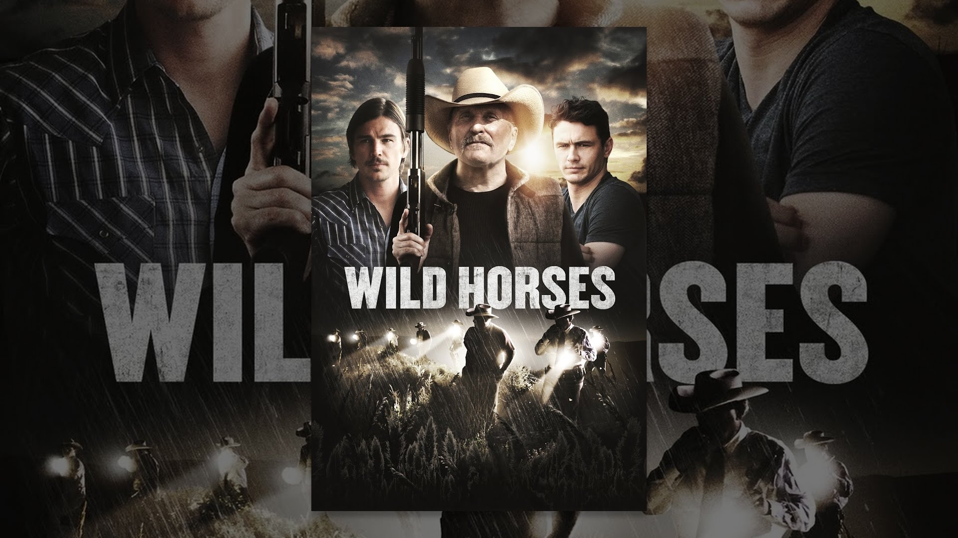 Wild Horses - YouTube