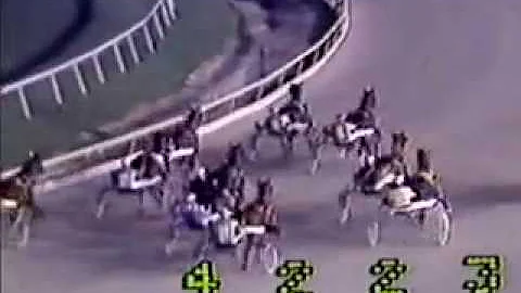 1983 Meadowlands GERALDINE BROLINE Merrie Annabelle Trot