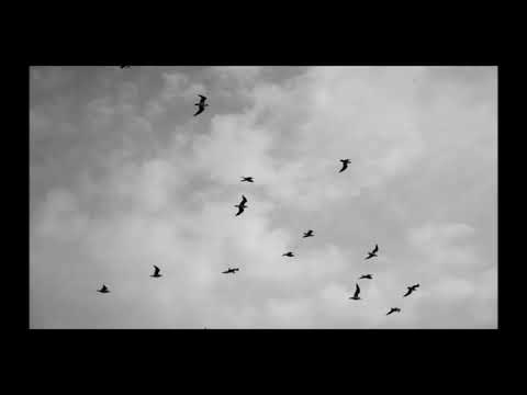 كانت هتفرق في الوداع مسار إجباري  2  3  