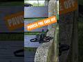PAVO20 PRO TAKE OFF #beltfpv #pavo20pro