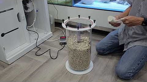 Lắp đặt pH Control và lò Canxi T3 cho hồ cá biển