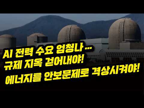 "<strong>가동</strong> 중단시킨 원전부터 다시 살려야"