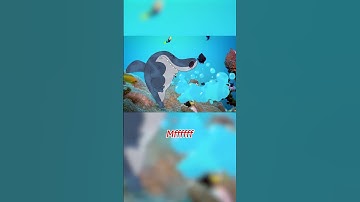 #Shorts 🔶 Zig & Sharko 🎶 FRENCH SING ALONG