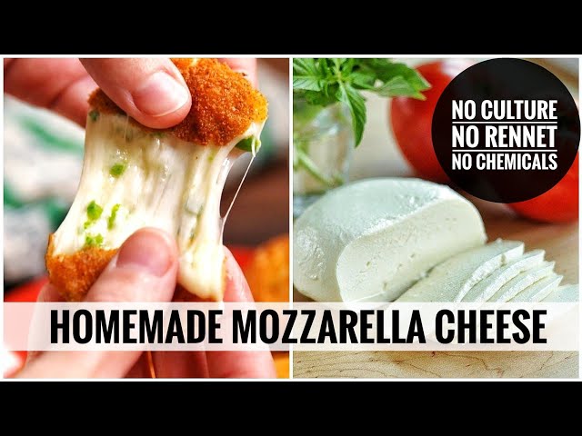 Mozzarella Cheese Recipe (Cultured)