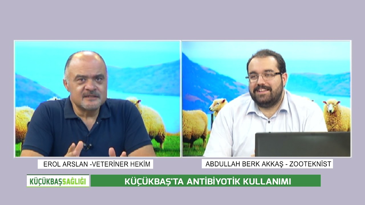 EROL ARSLAN'LA KÜÇÜKBAŞ SAĞLIĞI - KÜÇÜKBAŞTA ANTİBİYOTİK KULLANIMI