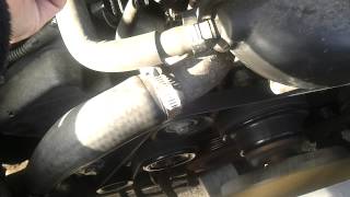 Isuzu Rodeo Pulley Squeal