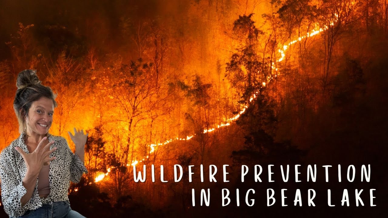 Wildfire Prevention in Big Bear Lake and Defensible Space - YouTube