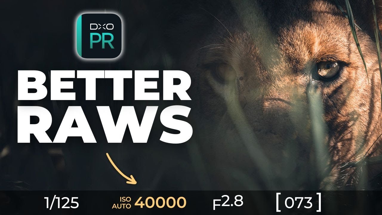 DxO PureRAW 5 стал ещё лучше (и вот почему)