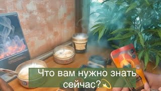 ☄️🌪🌟Что мне нужно знать прямо сейчас? Таро