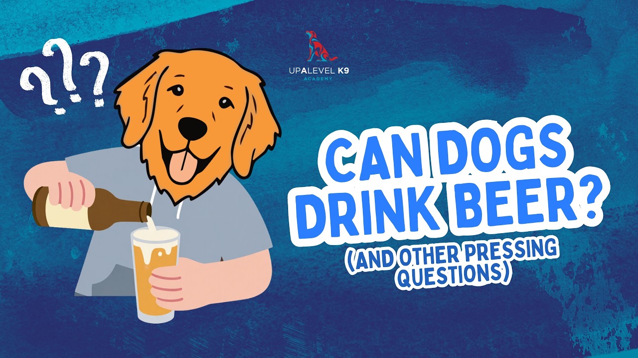 Q&A with Dr. Paul (Part 1)