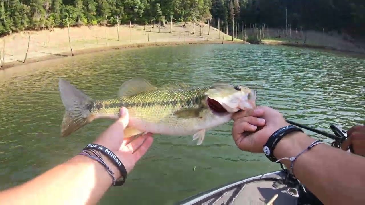 A EVENING OF BASS FISHING ON LAKE SHASTA
